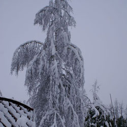 Kliknij aby powiększyć