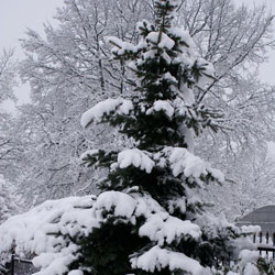 Kliknij aby powiększyć