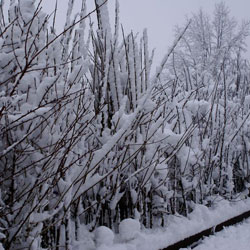 Kliknij aby powiększyć